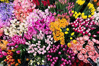 《第一后裔》IGN评分5分 爽快射击也救不了类型化设计